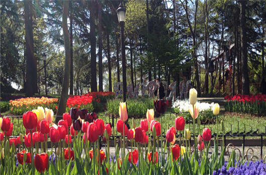 土耳其護(hù)照優(yōu)勢(shì)解讀，不可思議的土耳其移民項(xiàng)目！