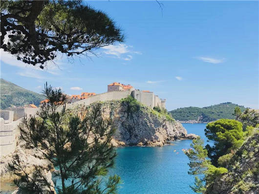 1598240785120686.jpg 31.jpg