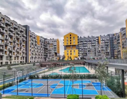 1627635656202292.jpg 1.jpg