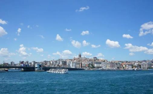 1631005944164209.jpg 1.jpg