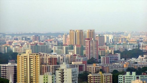 1636618418104408.jpg 1.jpg