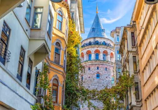 1637309473731927.jpg 1.jpg