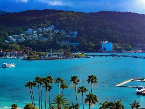 1640598001135554.jpg 1 (1).jpg