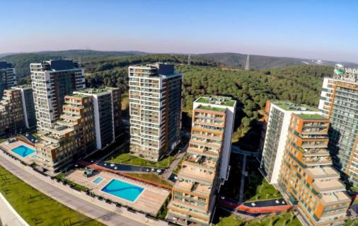 1640768754422615.jpg 1.jpg