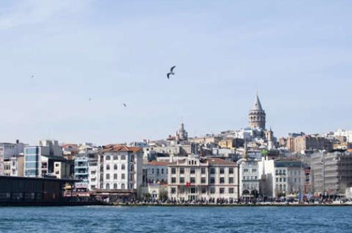 1642837403116573.jpg 1.jpg