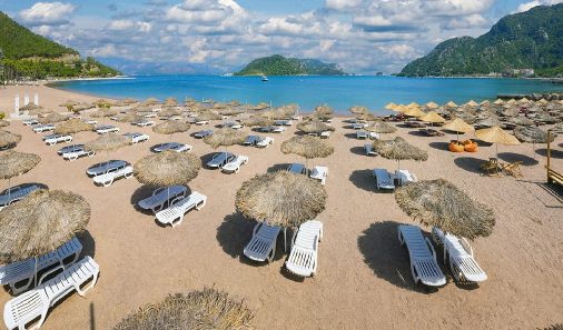 1668064635123045.jpg 1.jpg